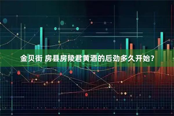 金贝街 房县房陵君黄酒的后劲多久开始？