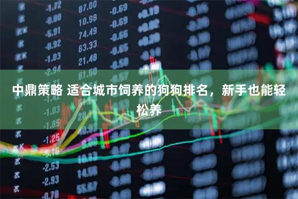 中鼎策略 适合城市饲养的狗狗排名，新手也能轻松养
