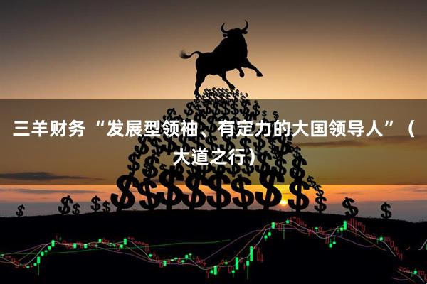 三羊财务 “发展型领袖、有定力的大国领导人”（大道之行）