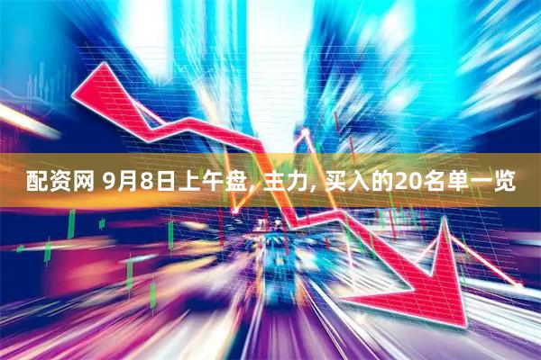 配资网 9月8日上午盘, 主力, 买入的20名单一览